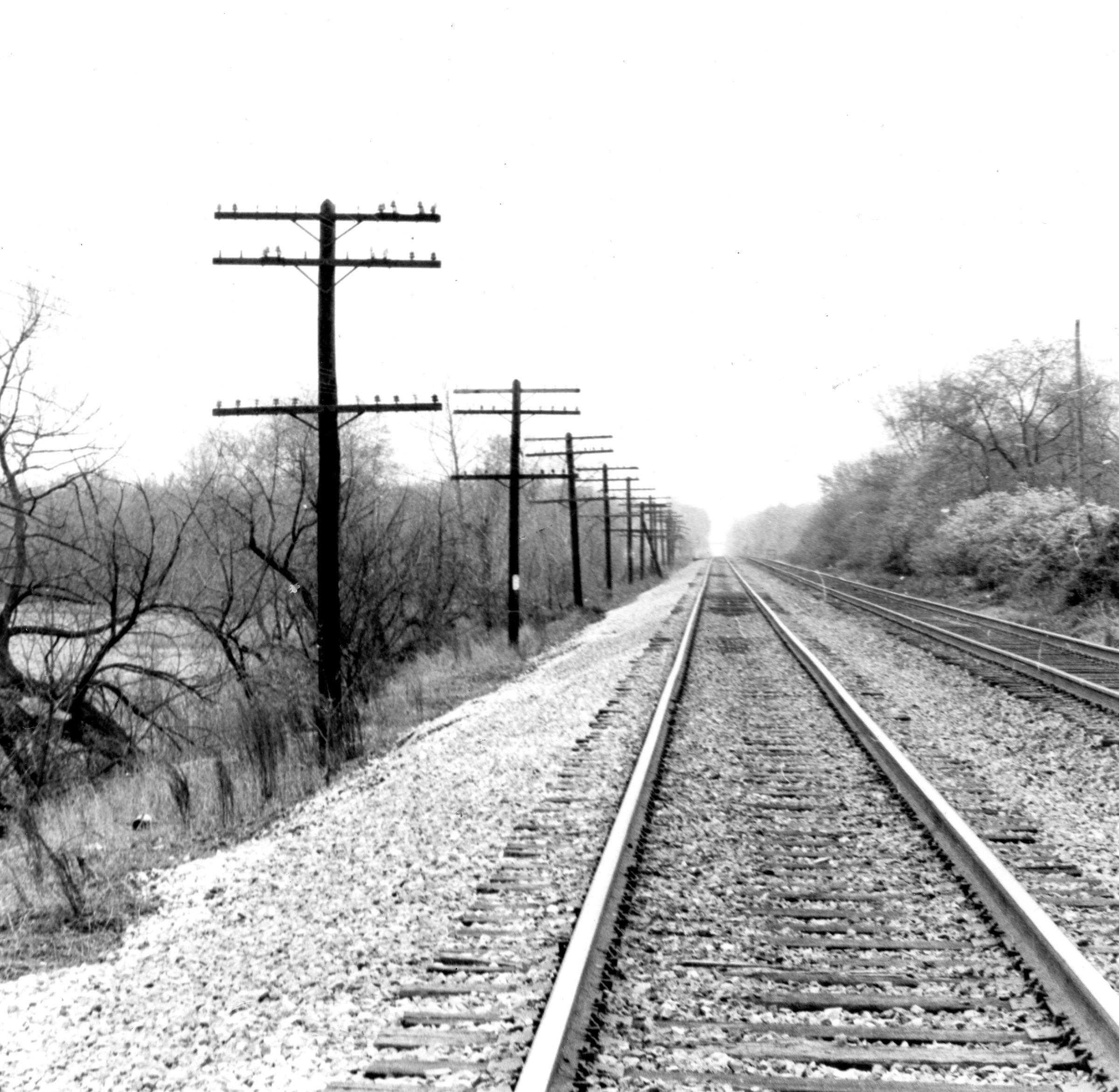 Railroad Tracks at Lakeland