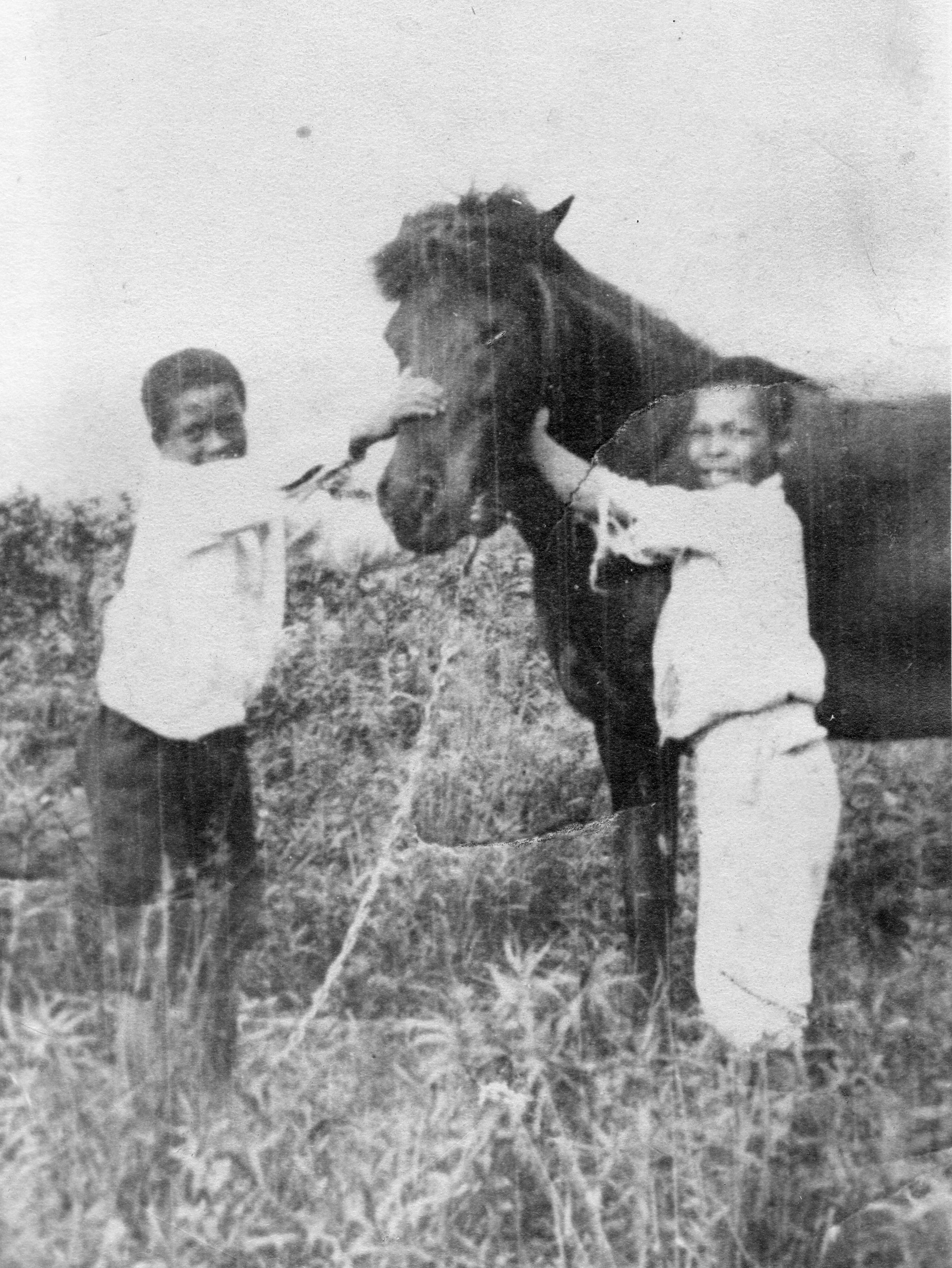 Alfred Gross and Horace Brooks with horse